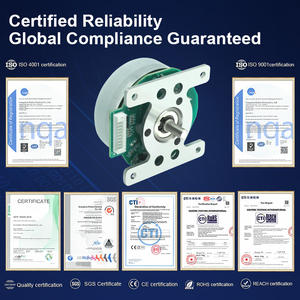 Motor CC Sin Escobillas RB 61BLDC, Módulos de Controlador de Motor para Agitador para Dispositivo de Laboratorio, 24 V, 1600 RPM, 27.8 W, Motor con Certificación CE - Product Image 6