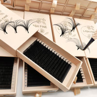 Cachemire Noir Mat C CC D DD Curl 0.05 0.07 Extension de Cils Premium Soft Volume Individuel Extension de Cils