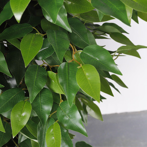 Arbre artificiel en ficus Qihao en pot, plante décorative d'intérieur, haute simulation, décoration de mariage et de maison - Product Image 3