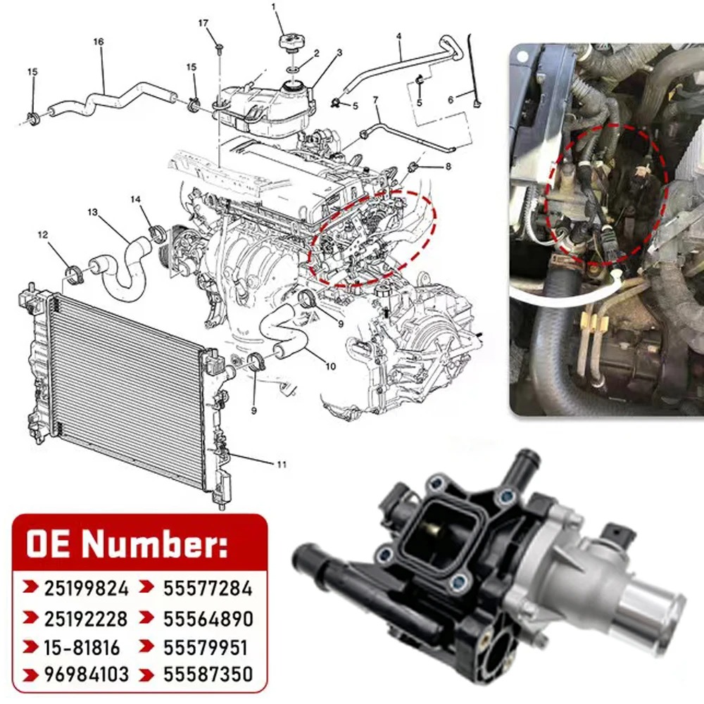 Engine Coolant Thermostat Assembly 25192228 for Chevrolet