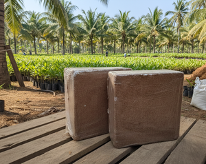 Bloque de Fibra de Coco de 5 kg, 30 cm x 30 cm x 12-15 cm de Alto, Sustrato de Fibra de Coco de Alta Calidad EC para Cultivo Hidropónico - Product Image 2