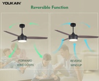 Moderne fantaisie DC télécommande 52 pouces 3 lames or LED ventilateur de plafond lampe 110V/220V lumière électrique LED ventilateur de plafond avec lumière
