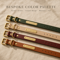 Ensemble Harnais, Collier et Laisse pour Chien Personnalisé Haut de Gamme OEM ODM – Matériaux Personnalisables, Couleurs Variées, Tissu Nylon, Cuir – Fabricant Marque Privée