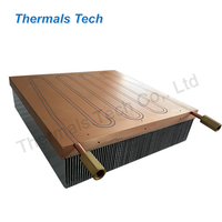 Plaque froide liquide avec base de dissipateur thermique refroidie à l'eau pour module thermoélectrique Peltier