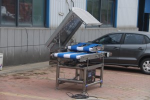 Rebanadora de Carne Fresca Comercial de Alta Eficiencia, Alimentación por Cinta Transportadora Estable, Cuchillas Resistentes al Desgaste, Gran Producción por Hora - Product Image 6