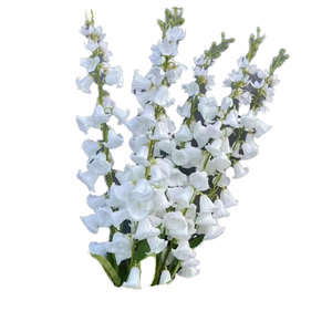 <span class=keywords><strong>Campanula</strong></span> Artificiale in Seta a Stelo Lungo, Bouquet Floreale Bianco per Decorazioni Casa, Matrimoni, Feste, San Valentino, Vacanze, Vasi da Tavola - Product Image 1