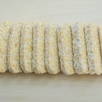 Tempeh de pois chiches pour des repas surgelés sains, protéines végétales sans gluten, idéal pour la friteuse à air et les salades