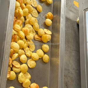Manufacturer Gas Heating Chicken Nuggets Continuous Frying <b>Machine</b> Commercial <b>Fryer</b> for YZ-2500 Frying <b>Machine</b> YZ-2500 YZ-2500 Y - Product Image 5