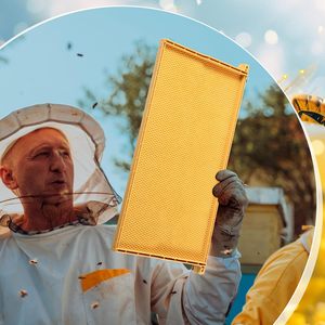 Paquete <span class=keywords><strong>de</strong></span> 10 láminas <span class=keywords><strong>de</strong></span> plástico amarillo para base <span class=keywords><strong>de</strong></span> colmena - Láminas <span class=keywords><strong>de</strong></span> cera para fundaciones <span class=keywords><strong>de</strong></span> cría profunda para colmenas Langstroth - Product Image 4