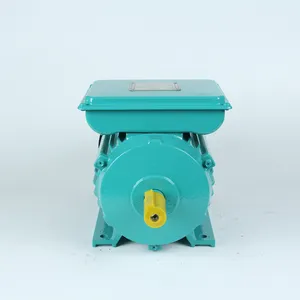Hot Selling Yc Electric 220 Volts 1400 Rpm 2.2kw Motor for Clean Machine