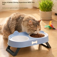 Vente en gros de bols pour chats et chiens en ABS, anti-renversement, double bols, design ergonomique pour le cou, anti-éclaboussures