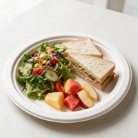 Groothandel Compostable 8 Inch Suikerriet Bagasse Ronde Borden Wegwerp Biologisch Afbreekbaar Serviesgoed voor Catering Restaurants Feesten