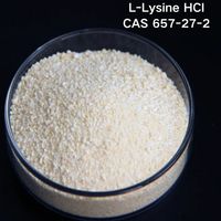 Youjian Vente en Gros Additif Acide Aminé L-lysine Monohydrochlorure Supplément Avicole L-lysine CAS 657-27-2