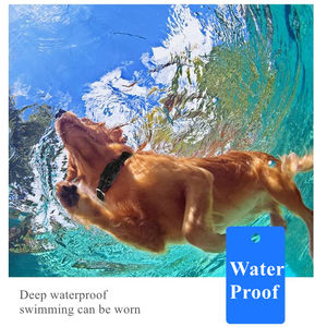 <span class=keywords><strong>Collar</strong></span> eléctrico con Control remoto para entrenamiento de perros, accesorio inteligente y portátil con Control remoto, resistente al agua Ipx6, gran oferta - Product Image 6