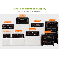 Batterie LiFePO4 liquide montée en rack Lead Power LP 5kWh 24V 12V 100Ah 120Ah 200Ah 300Ah, 6000 cycles