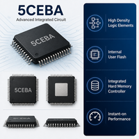 Microcontrolador 5CEBA2F17C7N, Circuito Integrado con Montaje en Bandeja, Montaje Superficial, 128 E/S, Paquete 256FBGA