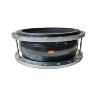 Extrémité flexible de bride d'expansion de joint en caoutchouc de grande taille PN10/16/25 connecteur DN500-DN2000 raccords de tuyauterie à sphère simple/Double