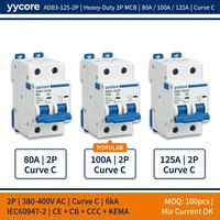 Disjoncteur industriel robuste 2P MCB 380V 6kA ADB3-125 Courbe C 80A 100A 125A IEC60947-2 CE CB KEMA