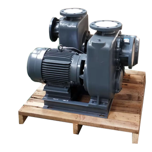 Geavanceerde Zelfaanzuigende Centrifugaalpomp Met Pmp Semi-Open Waaier Gietijzer Geavanceerde Asafdichting Voor Het Hanteren Van Puin - Product Image 1