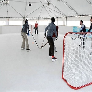 Tuile de sol de patinoire/patinoires artificielles/<span class=keywords><strong>glace</strong></span> synthétique usagée à <span class=keywords><strong>vendre</strong></span> - Product Image 5
