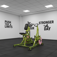 Máquina de remo y polea vertical Kaishi Sports para entrenamiento de músculo dorsal y deltoides con asiento de color personalizable