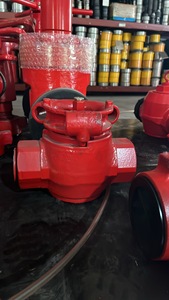 วาล์วปลั๊ก RIGRS API 6A FMC <span class=keywords><strong>SPM</strong></span> แบบ 1" 2" 3" FIG 1502 5000-10000 psi สำหรับงานน้ำมัน - Product Image 6