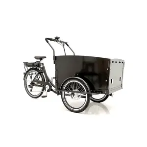 La famiglia di bici per la consegna a tre ruote utilizza una bici da carico elettrica con scatola di carico anteriore per bambini