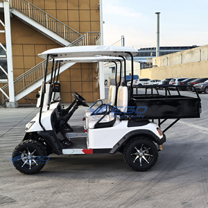 Carrito de Golf Eléctrico Todoterreno, Homologado para Calle, en Oferta, Carrito Turístico, Transporte Especial - Product Image 3