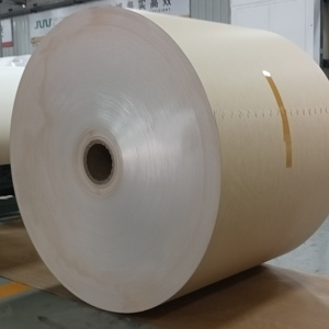 Rollo de Papel con Recubrimiento de PE, Textura de Papel Fina y Uniforme que Garantiza Patrones Impresos Nítidos, Flexible para Diferentes Tipos de Impresión y Postprocesamiento - Product Image 5
