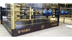 <span class=keywords><strong>Ring</strong></span> <span class=keywords><strong>de</strong></span> <span class=keywords><strong>Boxeo</strong></span> FIHGTBRO FBL <span class=keywords><strong>de</strong></span> <span class=keywords><strong>4x4</strong></span>, Independiente, Montado en el Suelo/Plegable, <span class=keywords><strong>de</strong></span> 4-7 Metros, Incluye Cubierta <span class=keywords><strong>de</strong></span> Alfombra, Logotipo Personalizado para Glory ONE - Product Image 3