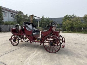 Carrozza Reale Elettrica Nera e Oro a Basso Prezzo, Prodotta in Acciaio da Fabbricante di Carrozze Reali - Product Image 4