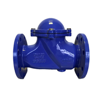 Clapet anti-retour à bille coulissant en fonte ductile GGG50 HQ41X PN16 à brides pour conduite d'eau usée DN50 DN300
