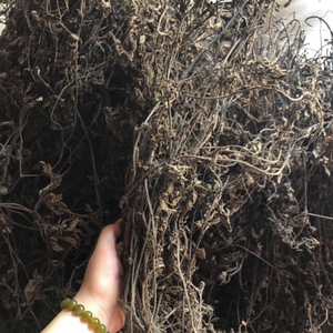 ส่วนผสมที่ใช้ปรุงเจลลี่ suong SAO เวียดนาม-อาหารสด - Product Image 1