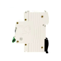 Usine directe 20A 25A 32A 40A 63A 6kA disjoncteur Miniature 2P cuivre MCB disjoncteur pour AC DC