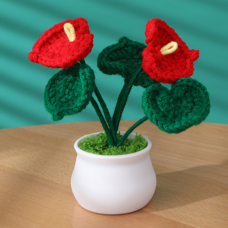 Anthurium