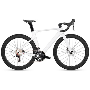 Vélo de route en fibre de carbone R10, 22 vitesses, double frein à disque, passage des câbles interne, résistant au vent, R10pro-Disc (édition sport) Ca - Product Image 3