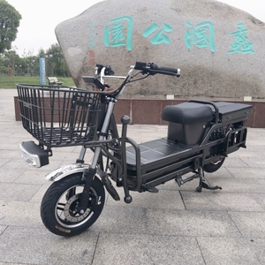 Motocicletta Elettrica Fuoristrada da 300 kg per Carichi Pesanti, Modello Load <span class=keywords><strong>King</strong></span>, Ideale per Consegne - Vendita Calda - Product Image 5