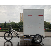 ESTER Nouveau Trike Cargo Électrique avec Boîte en Aluminium 120x90x120cm/150cm, Moteur Arrière Unite 500/750W, Remorque Cargo Vélo
