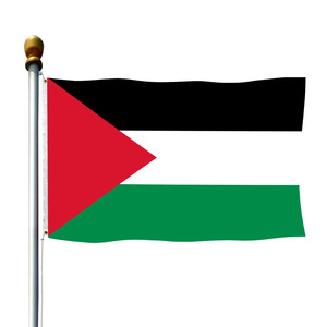 Bandera de Palestina de Alta Calidad para Exteriores, 90*150cm, 3*5 pies - Product Image 1