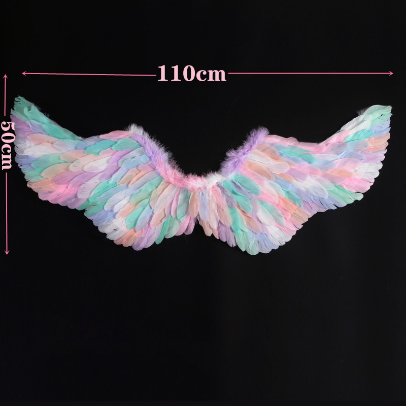 Large colored swallow wings