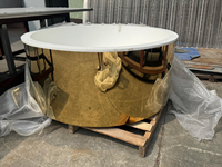 Bac à glace rond en acier inoxydable 304 durable, directement de l'usine, avec revêtement intérieur en porcelaine blanche émaillée, pour hôtels, villas, spas