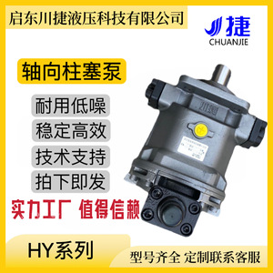 ปั๊มไฮดรอลิกแบบลูกสูบแกน Chuan Jie Hy250Y Rp แรงดัน 250 บาร์ 1 จังหวะ ปรับอัตราการไหลได้ แนวนอน ปั๊มเพิ่มแรงดันไฟฟ้า - Product Image 5