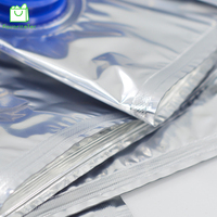 Machine de remplissage professionnelle en Mylar, accessoire en aluminium, emballage écologique de 1l, 3l, 5l, 10l, offre spéciale
