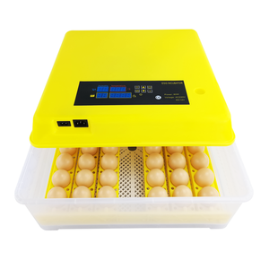 Incubateurs automatiques pour œufs, 48 œufs, batterie rechargeable 220v+12v, mini incubateurs pour œufs à vendre - Product Image 6
