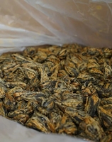 Thé Yunnan Baota Dianhong Aiguille d'Or, disponible en détail ou en gros, idéal pour offrir en cadeau ou pour la consommation quotidienne, directement de l'usine.