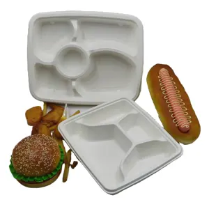Environmentally Friendly Biodegradable Disposable Tableware Convenient Lid Attachment Microwaved Bagasse Food Paper Tray Plates