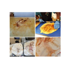 Semi Automatic Tortilla Chapati <b>Pancake</b> Roti Press Make Baking <b>Machine</b> - Product Image 4