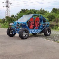 Buggy électrique de course pour adultes puissant de 5000 W, buggy électrique de course, kart électrique