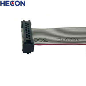 Konektor IDC Pitch 2.0mm 254mm dengan rakitan kabel kabel kabel pita datar Gpio 24 Pin IDC Plug Harness kabel untuk elektronik - Product Image 4