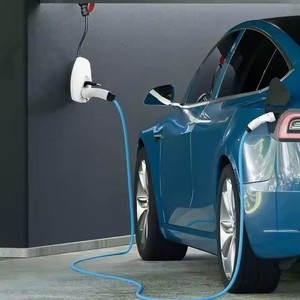 22Kw ติดผนังขนาดเล็กแบบ2 Evse 32A โรงงาน OEM สำหรับ FE-AM3-32P3mini BYD TY FE-AM3-32P3mini 22Kw โรงงาน OEM 32A โรงงานขนาดเล็ก - Product Image 5